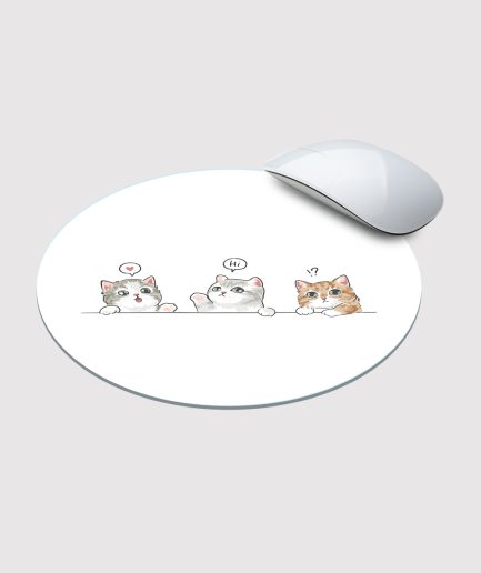 Three kittens
